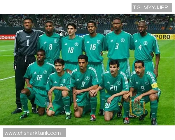 比利时与沙特足球对决解析球队实力与战术对比分析