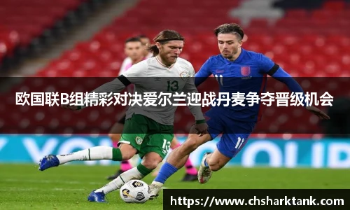 欧国联B组精彩对决爱尔兰迎战丹麦争夺晋级机会