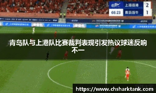 青岛队与上港队比赛裁判表现引发热议球迷反响不一