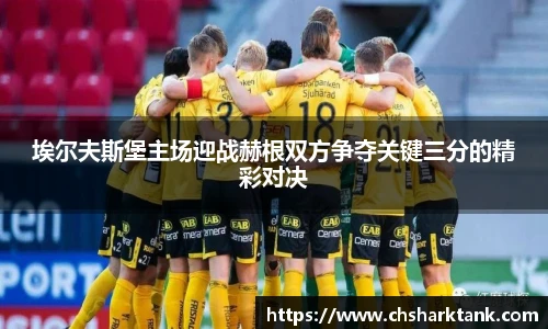 埃尔夫斯堡主场迎战赫根双方争夺关键三分的精彩对决