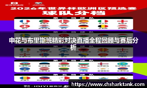 申花与布里斯班精彩对决直播全程回顾与赛后分析