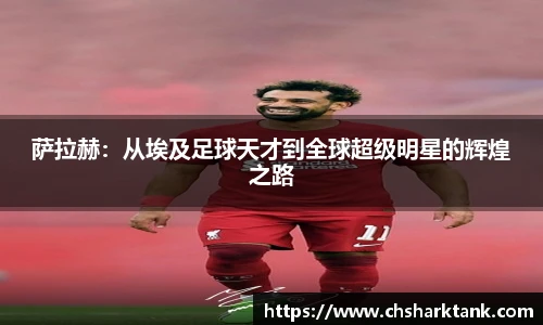 雷竞技raybet官方网站