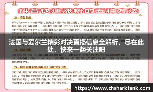 法国与爱尔兰精彩对决直播信息全解析，尽在此处，快来一起关注吧