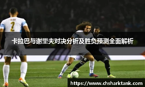 雷竞技raybet官方网站